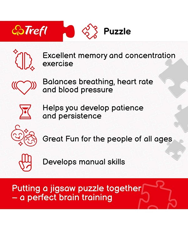 Red 1000 Piece Puzzle - Blue bouquet / DDFA